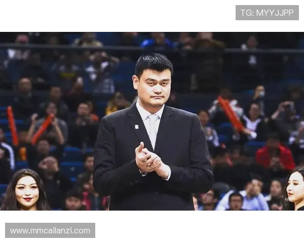 姚明慈善事业的影响力与社会责任感的深度剖析